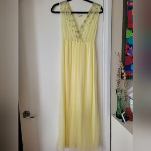 Vintage Sheer Dress